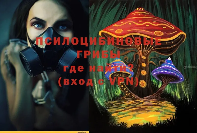 Галлюциногенные грибы Magic Shrooms  где купить   Салаир 